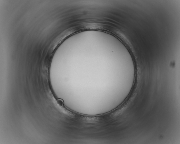 X0000113211041200910081312