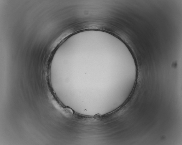 X0000113211042200910081312