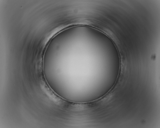 X0000113211044200910081312