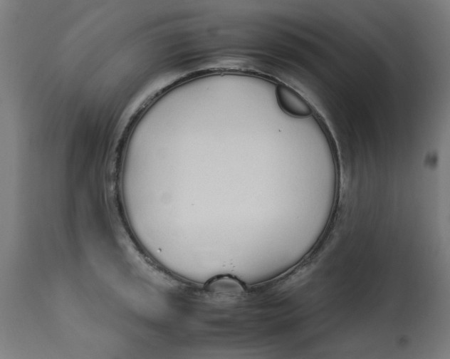 X0000113211045200910081312