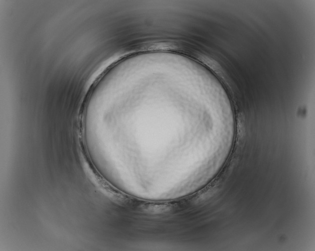 X0000113211047200910081312