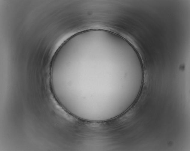 X0000113211048200910081312