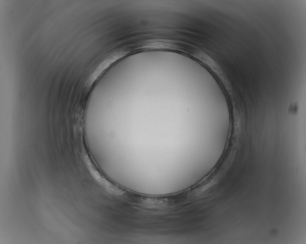 X0000113211049200910081312