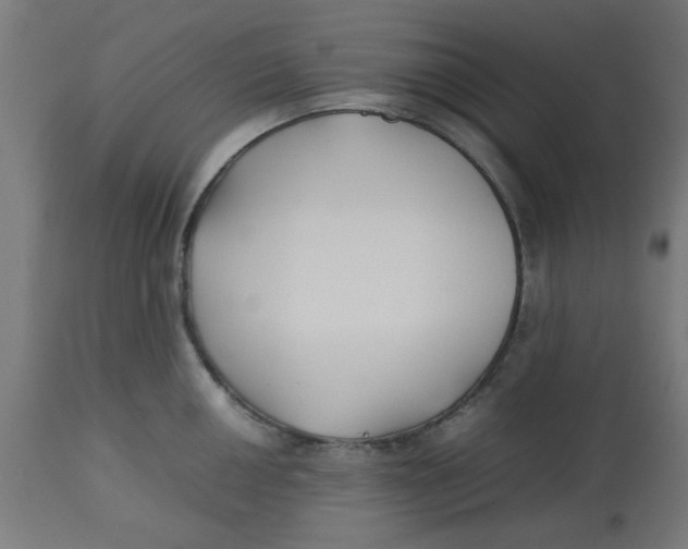 X0000113211050200910081312