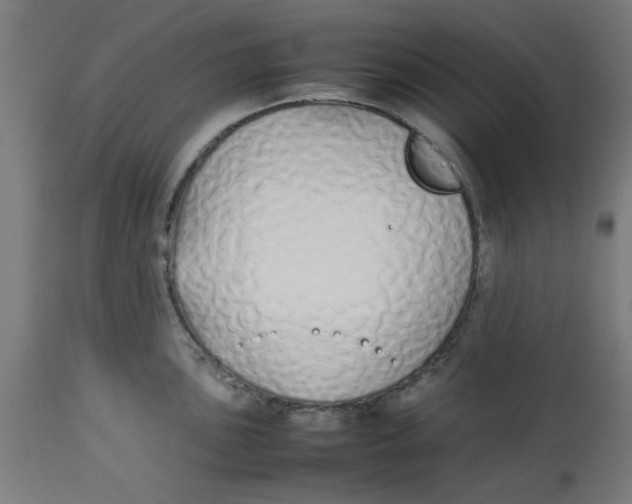 X0000113211051200910081312