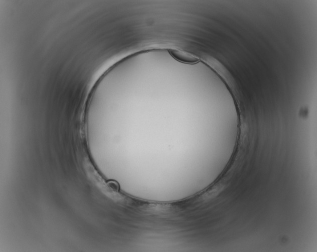 X0000113211052200910081312