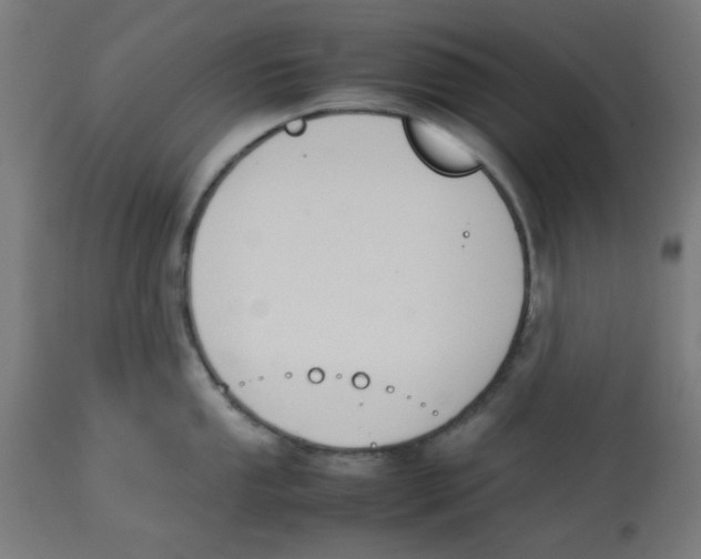 X0000113211053200910081312