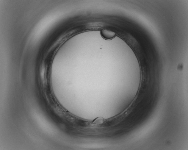 X0000113211054200910081312