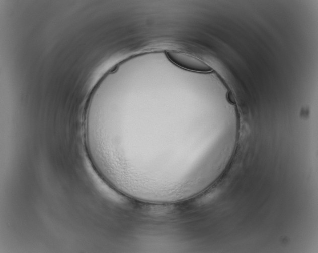 X0000113211055200910081312