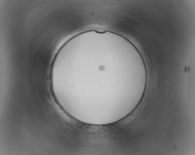 X0000113211056200910081312