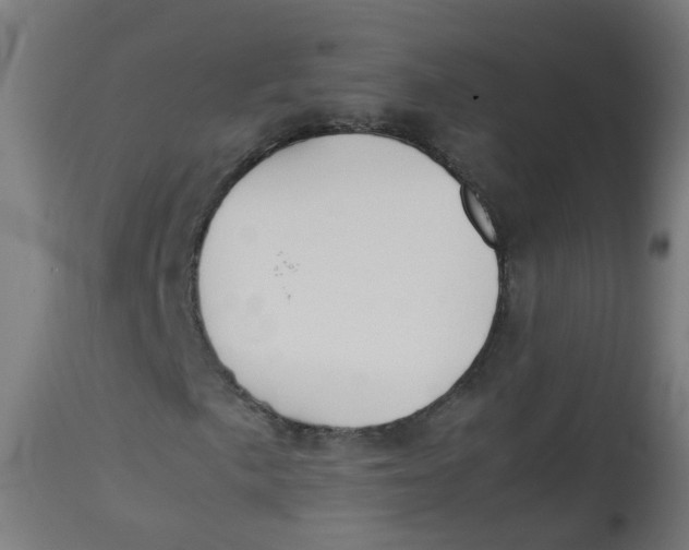 X0000113211057200910081311