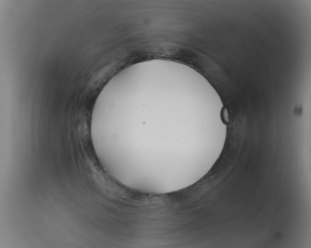 X0000113211058200910081311