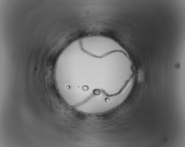 X0000113211059200910081311