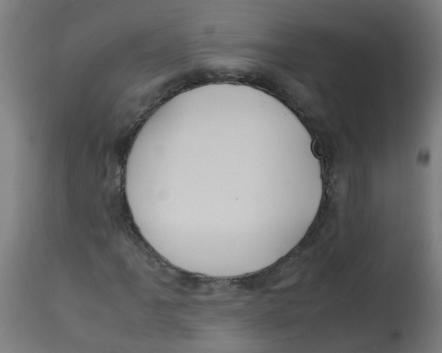 X0000113211061200910081311