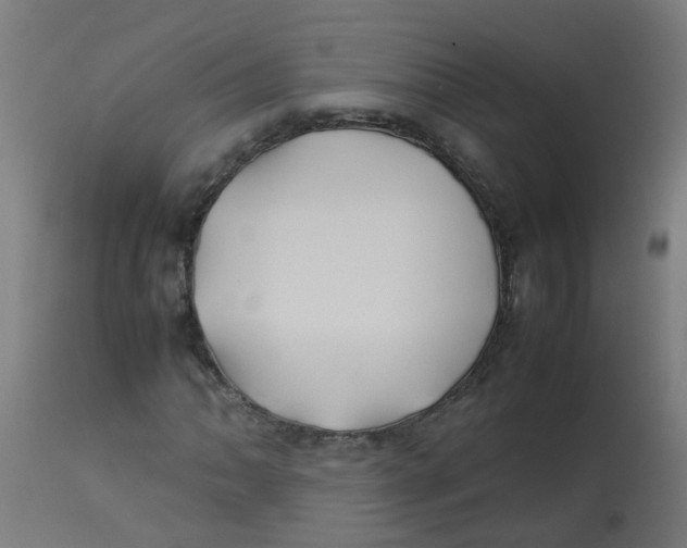 X0000113211062200910081311