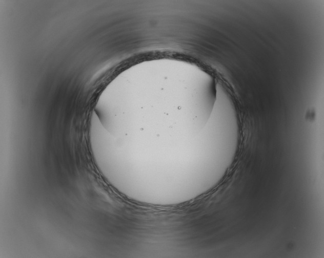 X0000113211064200910081311