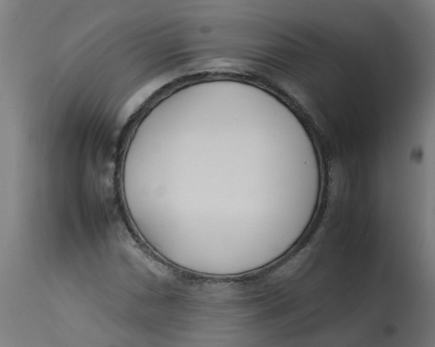 X0000113211066200910081311