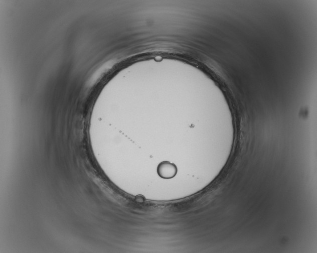 X0000113211067200910081311