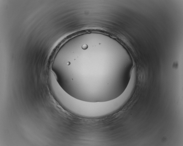 X0000113211068200910081311