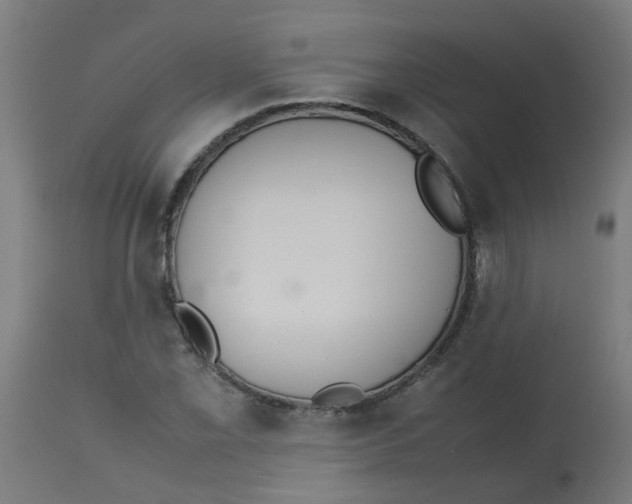 X0000113211069200910081311