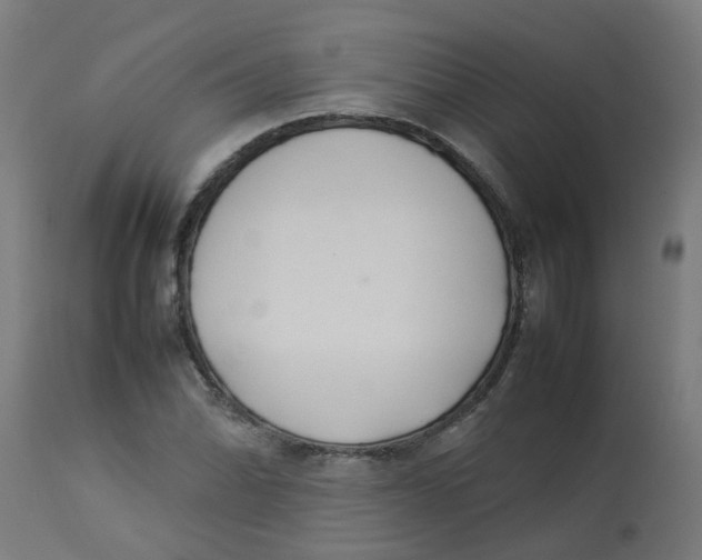 X0000113211070200910081311