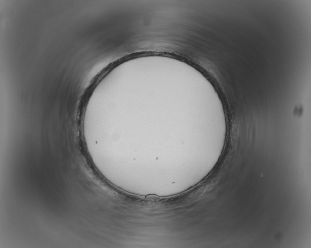 X0000113211071200910081311