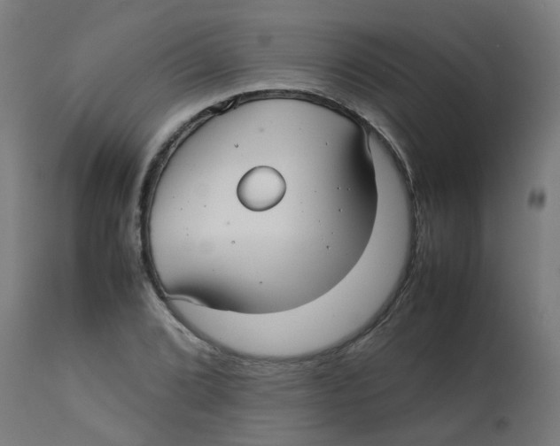 X0000113211072200910081311