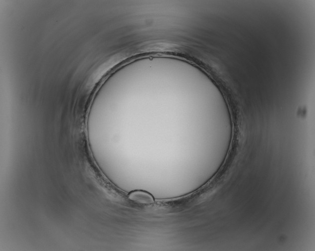 X0000113211073200910081311