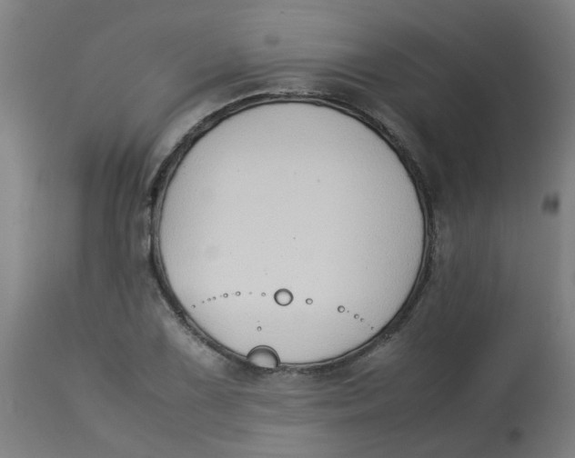 X0000113211075200910081311