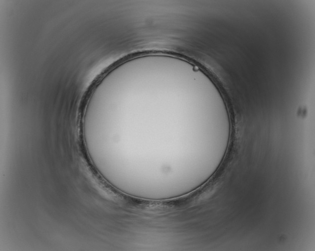 X0000113211077200910081311