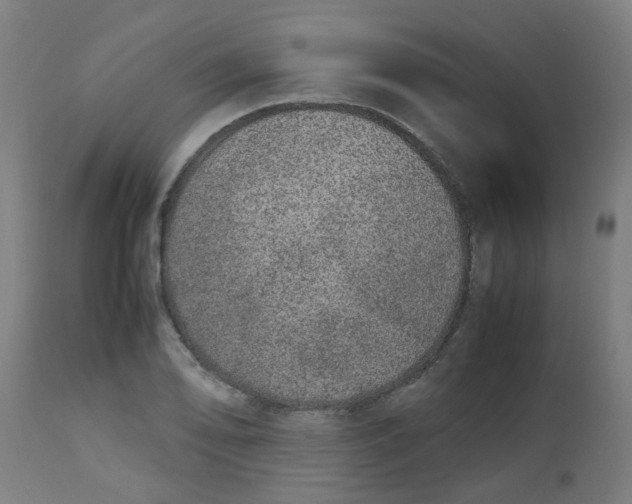 X0000113211078200910081311