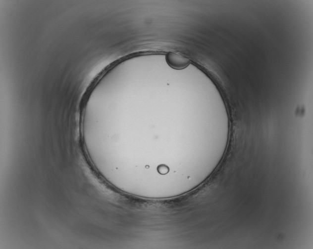 X0000113211079200910081311