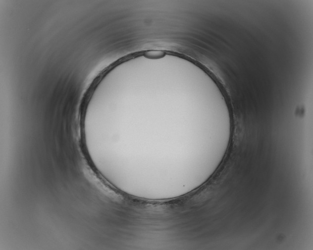 X0000113211080200910081311