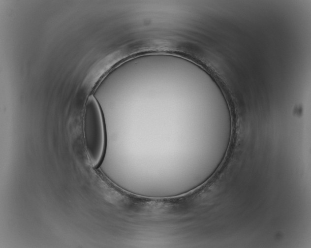 X0000113211081200910081311