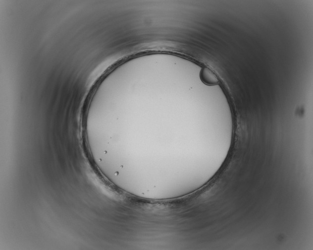 X0000113211082200910081311