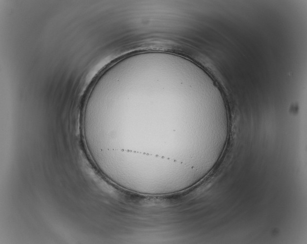 X0000113211083200910081310