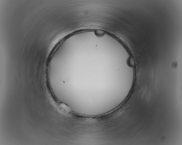 X0000113211085200910081310