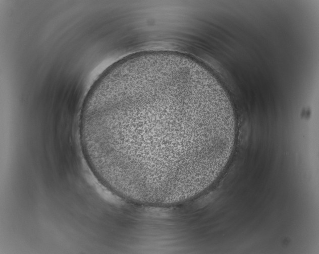 X0000113211086200910081310