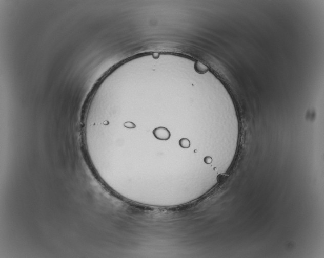 X0000113211087200910081310