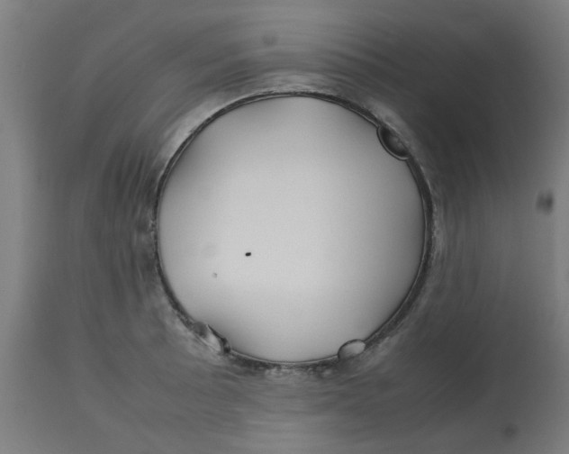 X0000113211089200910081310