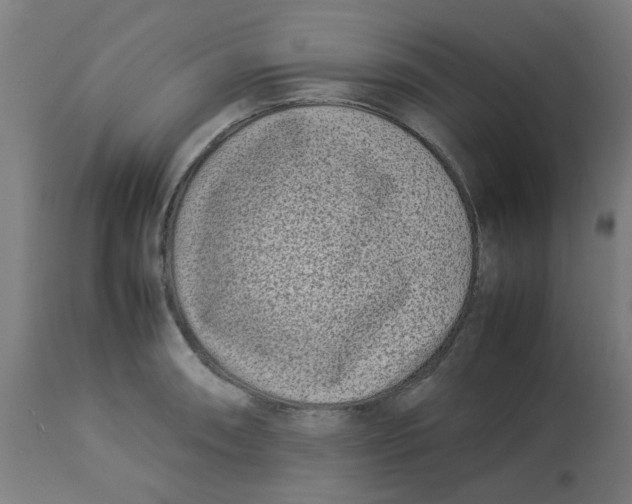 X0000113211090200910081310