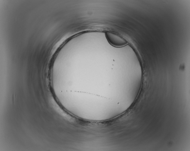 X0000113211091200910081310