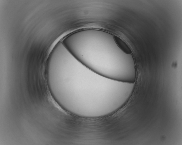 X0000113211092200910081310