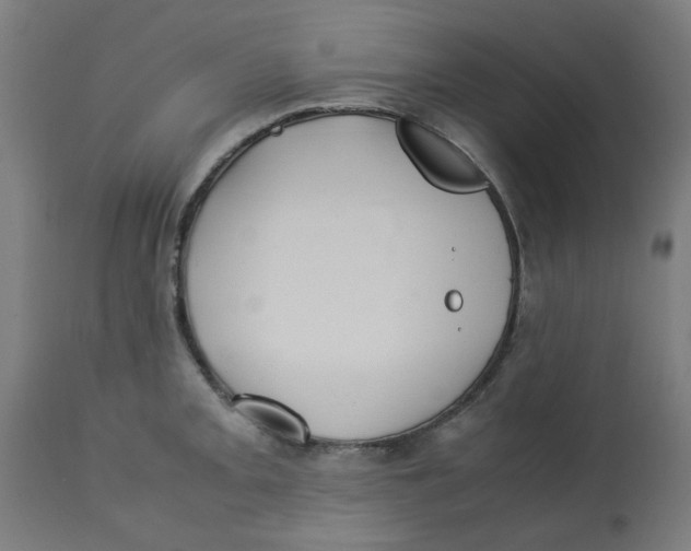 X0000113211093200910081310