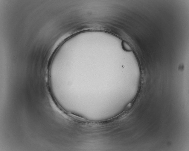 X0000113211095200910081310