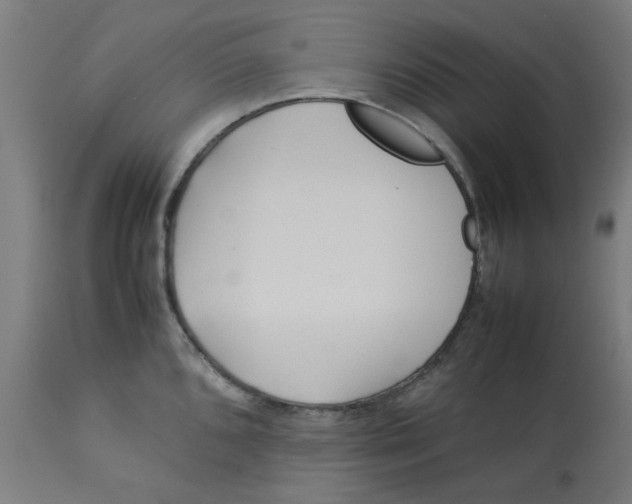 X0000113211096200910081310