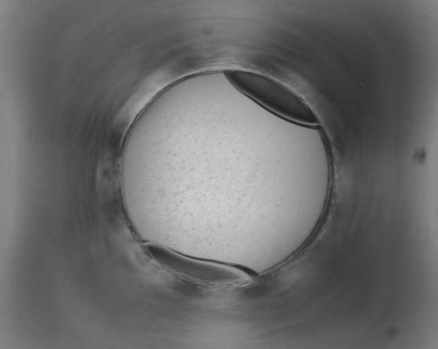 X0000113211097200910081310