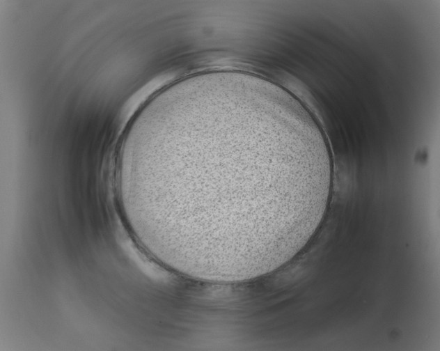 X0000113211098200910081310