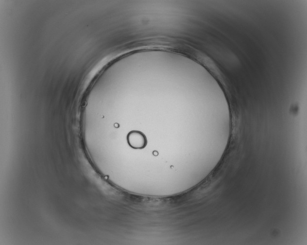 X0000113211099200910081310