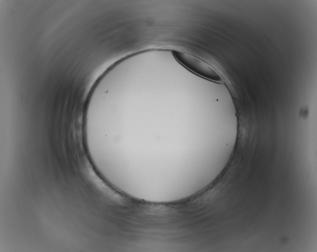 X0000113211100200910081310